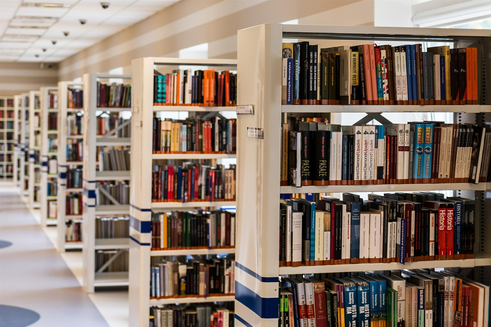 Picture of library shelves